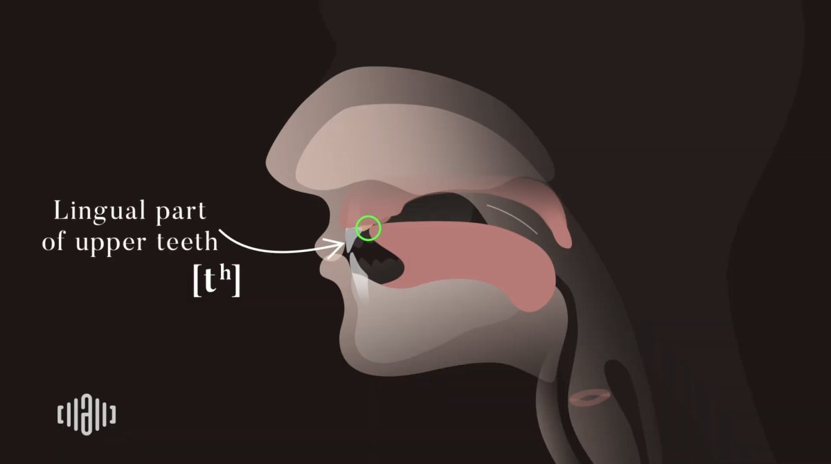 2D Sound Motion Technology for American Accent Training: The 2026 Guide to Speech Clarity