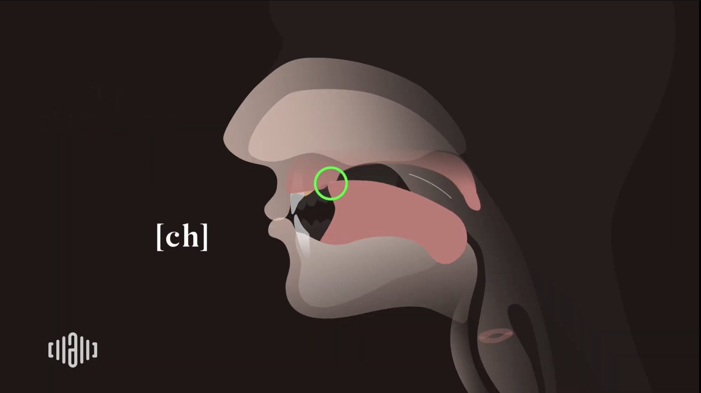 Interactive 2D Sound Video Simulator for the American unvoiced [ch] articulation