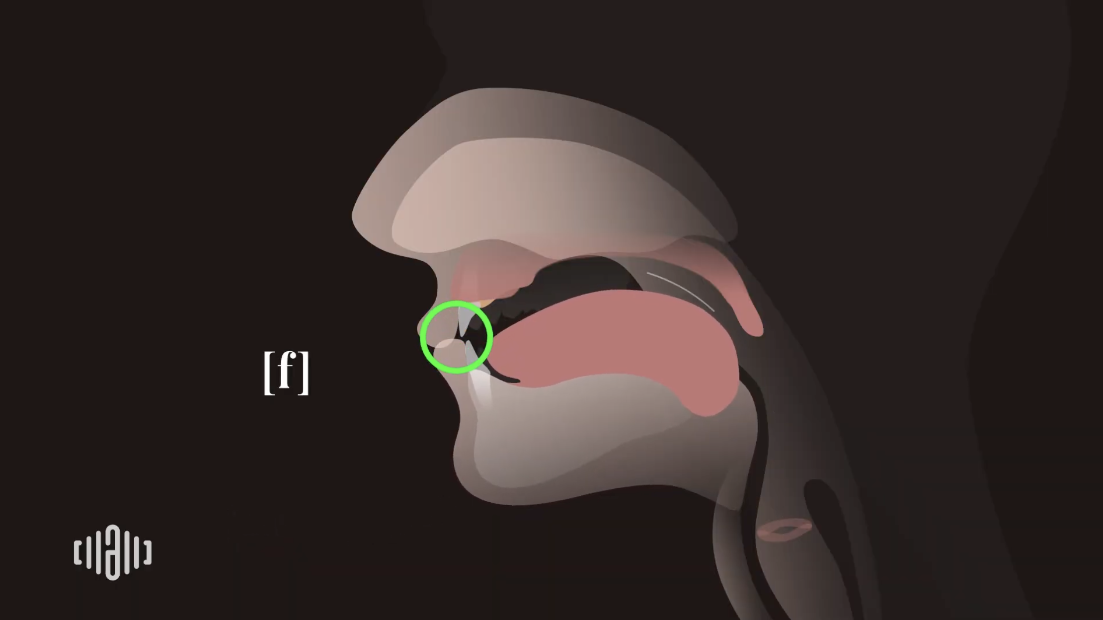Interactive 2D Sound Video Simulator for the American unvoiced [f] articulation