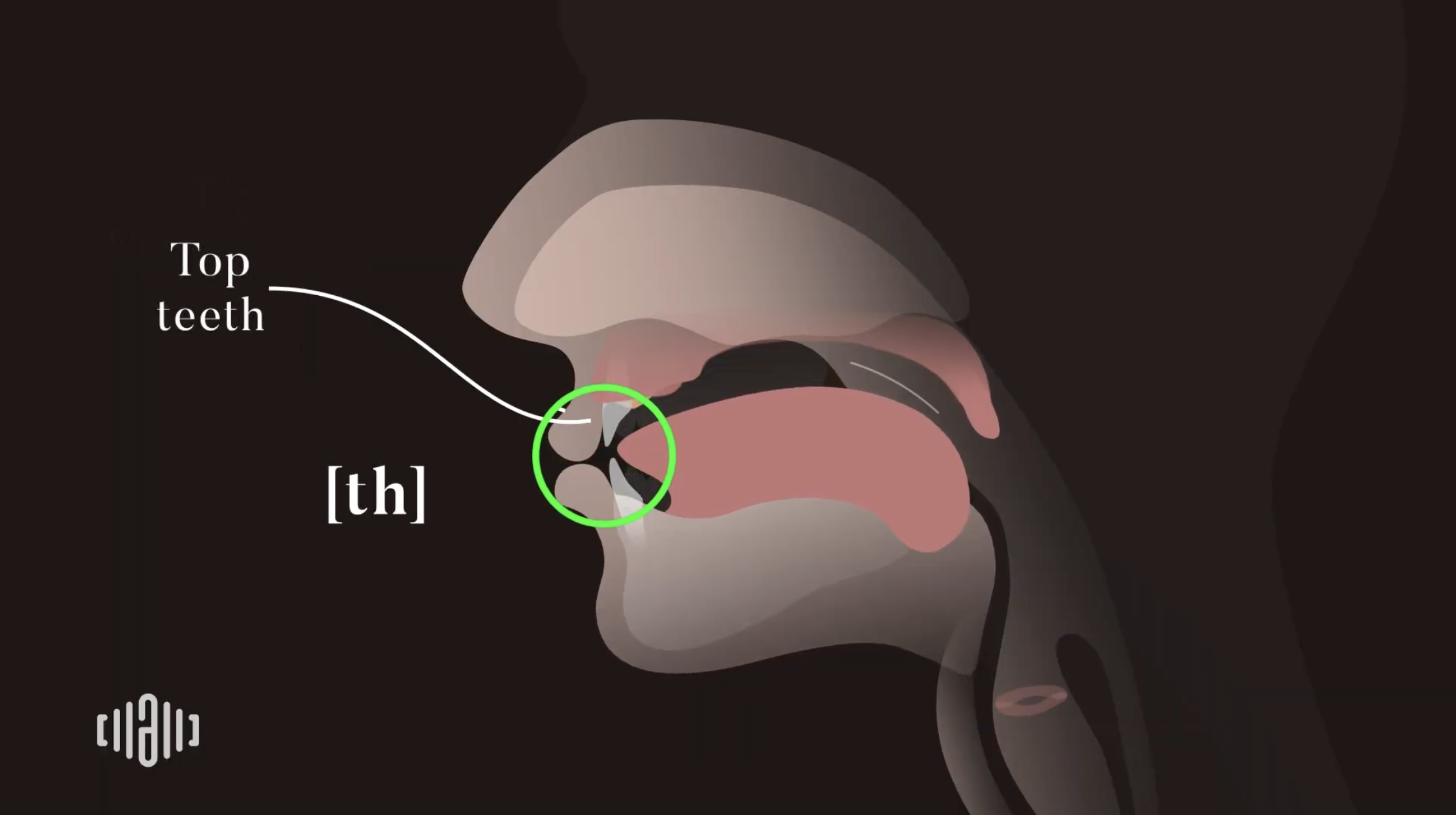 Interactive 2D Sound Video Simulator for the American unvoiced [th] articulation