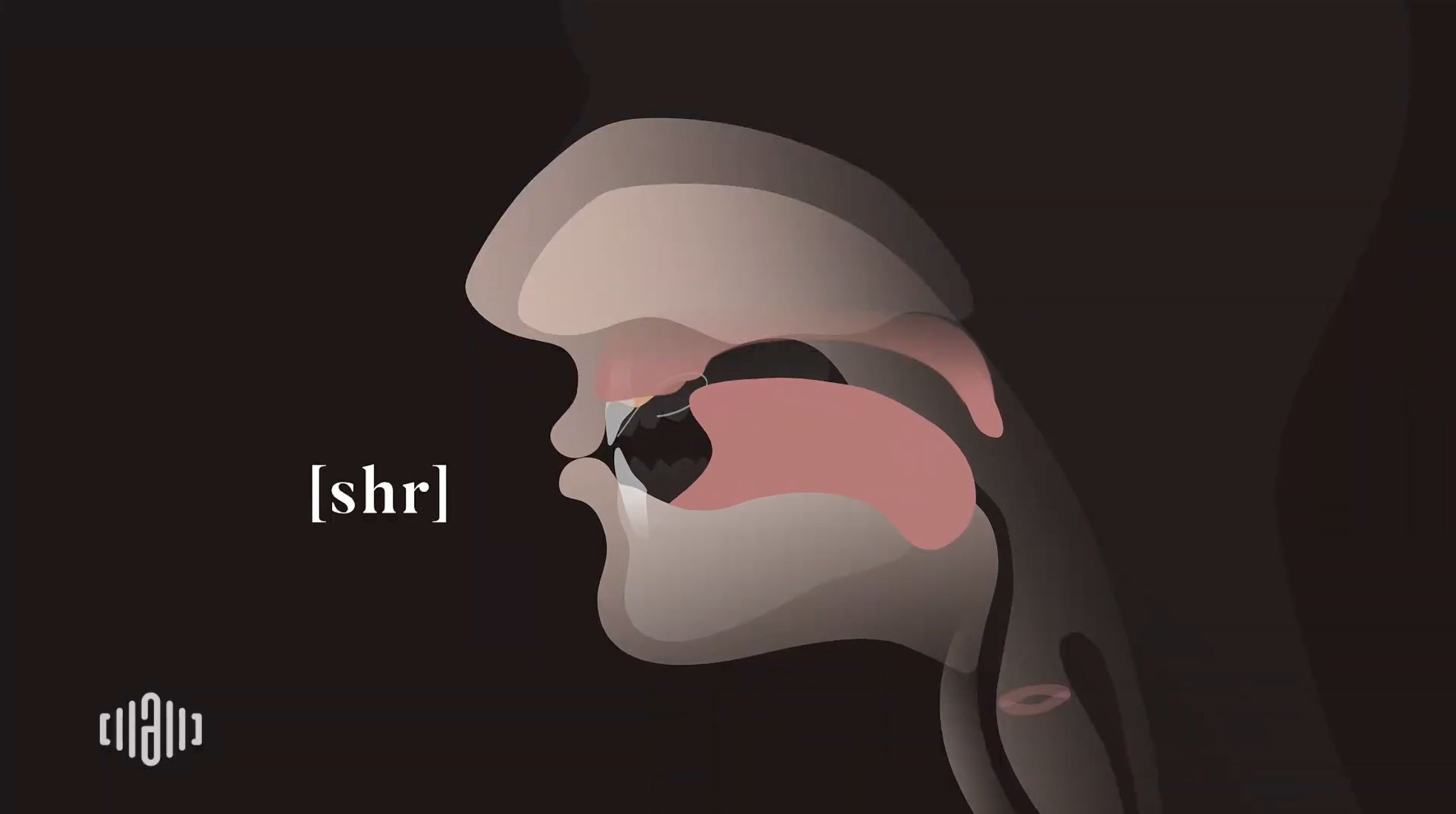 Interactive 2D Sound Video Simulator for the American [shr] blending