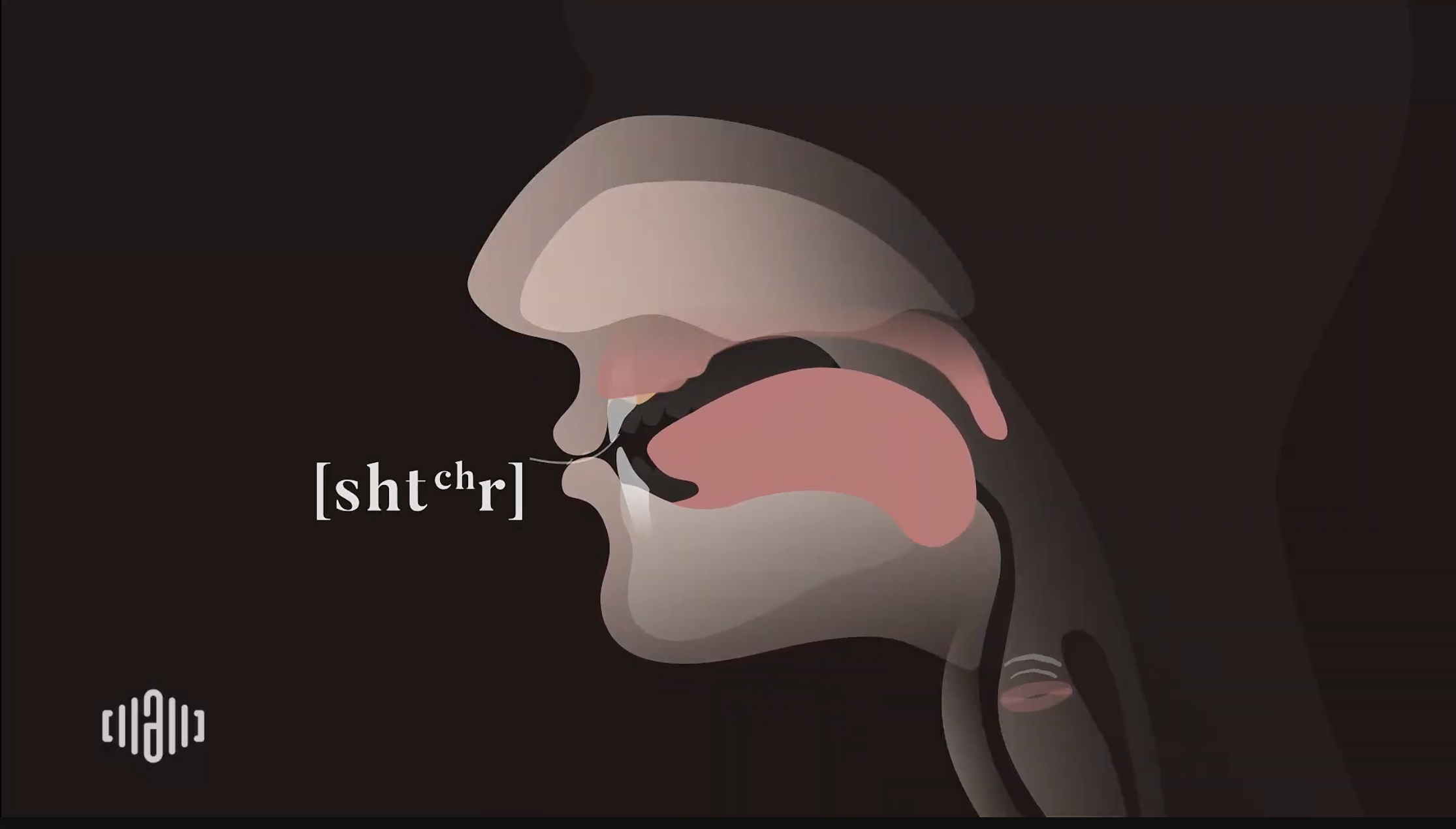 Interactive 2D Sound Video Simulator for the American [str] blending
