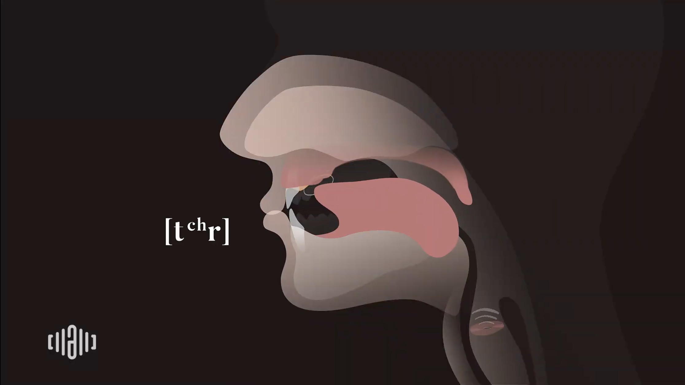 Interactive 2D Sound Video Simulator for the American [tr] blending