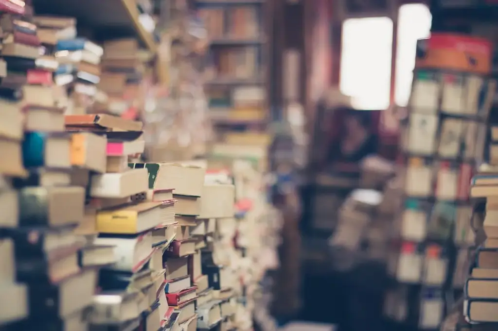 Books - How to Use Accent Modification Techniques That Stick | MyAccentWay